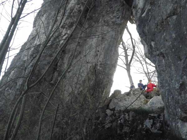 RIMG0134-600x450