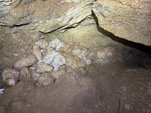 Bärentalhöhle – Zweite Säckeaktion im Jahr 2026